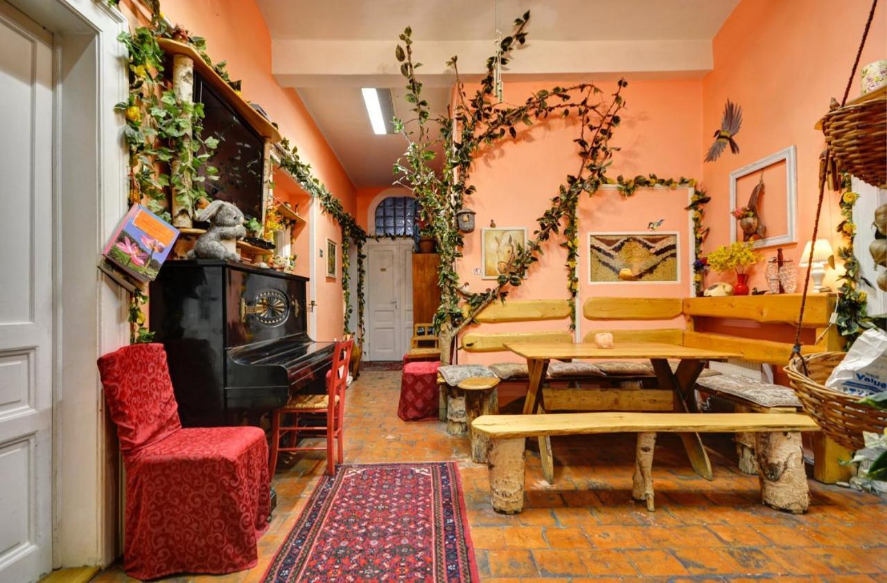 Artharmony & Hostal *